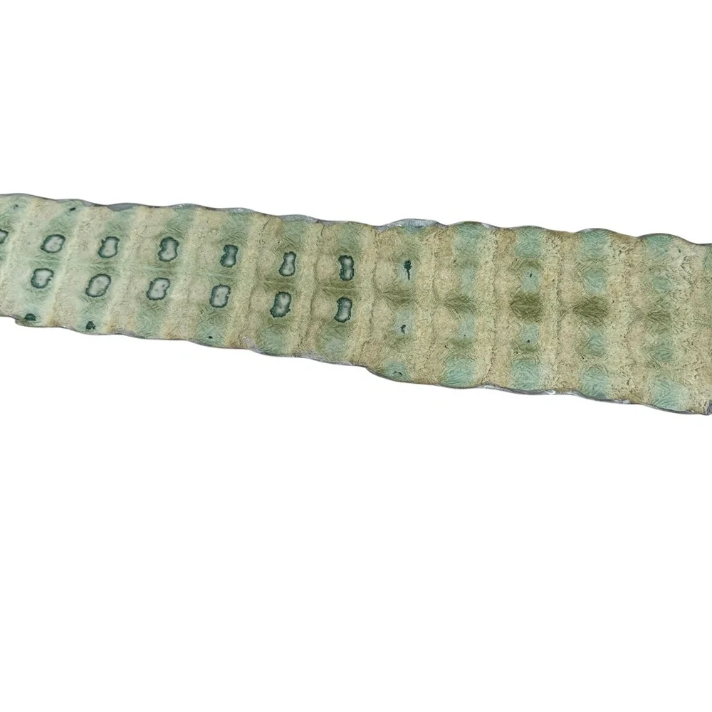 ROBERTO CAVALLI SILVER CROCODILE WIDE BELT